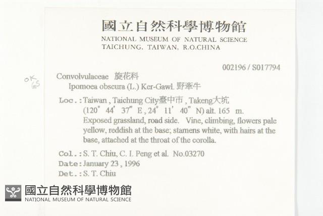 野牽牛藏品圖，第2張