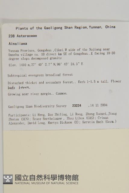 台灣鬼督郵藏品圖，第2張