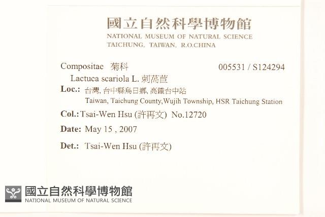 刺萵苣藏品圖，第2張