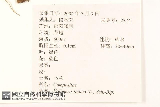 雞兒腸藏品圖，第2張