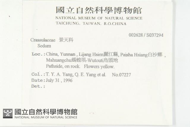 登錄號:S037294藏品圖，第2張