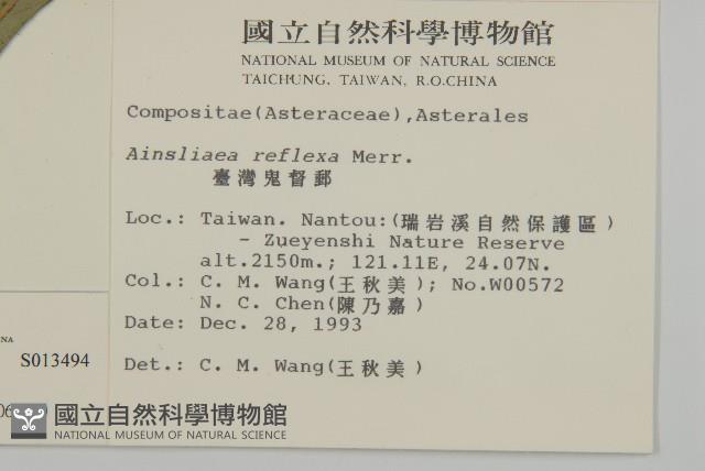 臺灣鬼督郵藏品圖，第2張