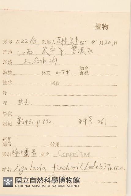 戟葉橐吾藏品圖，第2張