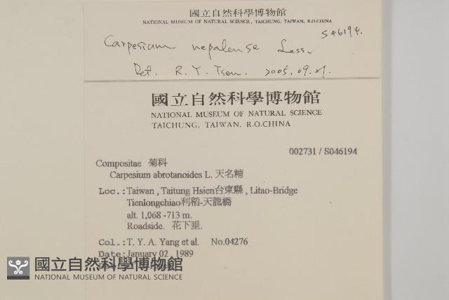 黃金珠藏品圖，第2張