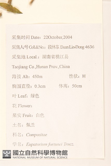 佩蘭藏品圖，第2張