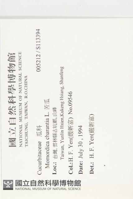 苦瓜藏品圖，第2張