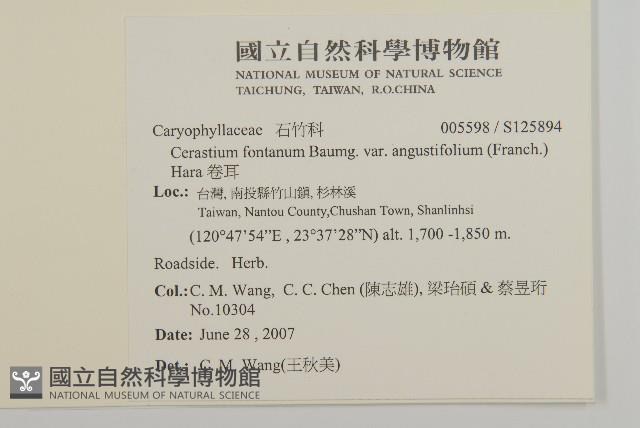 卷耳藏品圖，第2張