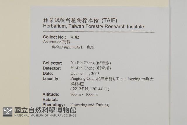 鬼針藏品圖，第2張