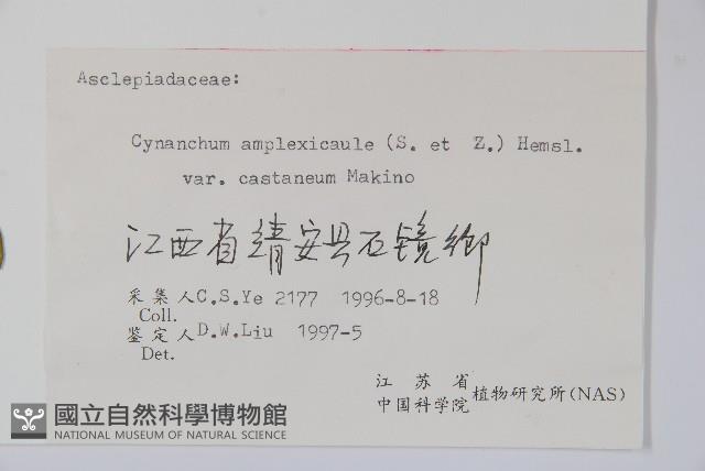 紫花合掌消藏品圖，第2張