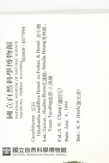 青牛膽藏品圖，第2張