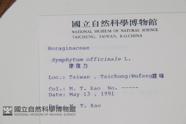 康復力藏品圖，第2張