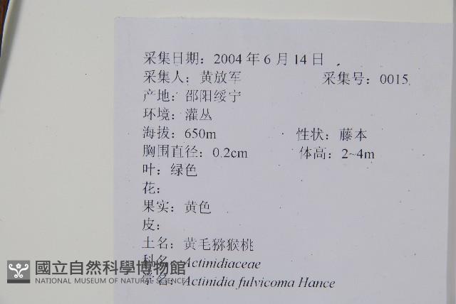 Accession Number:S111594 Collection Image, Figure 2, Total 2 Figures