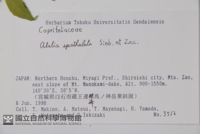 登錄號:S074594藏品圖，第2張