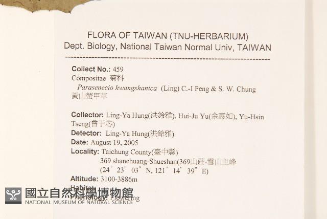 華山前胡藏品圖，第2張