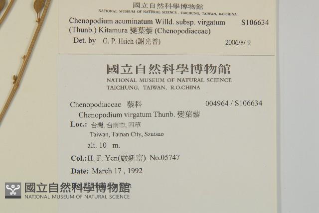 Accession Number:S106634 Collection Image, Figure 2, Total 2 Figures