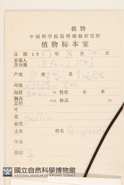 寬戟橐吾藏品圖，第2張