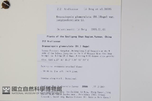 登錄號:S105634藏品圖，第2張