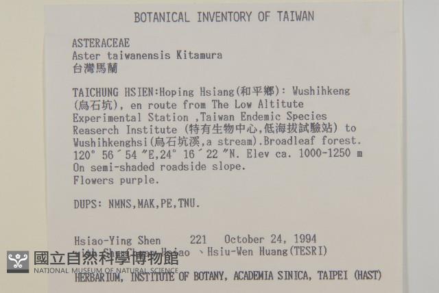 臺灣馬蘭藏品圖，第2張