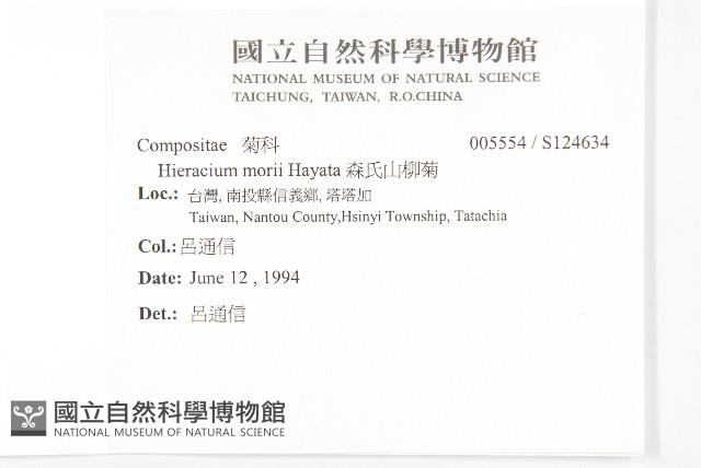 森氏山柳菊藏品圖，第2張