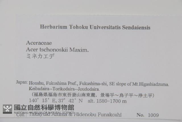 登錄號:S074634藏品圖，第2張