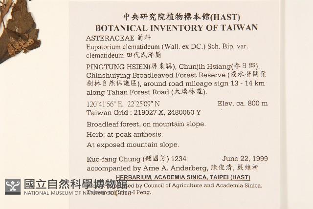 田代氏澤蘭藏品圖，第2張