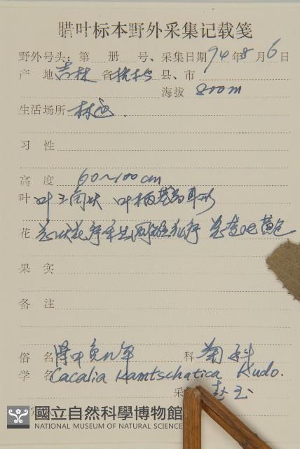 腎葉免兒傘藏品圖，第2張