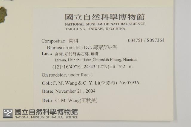 軟雀花藏品圖，第2張