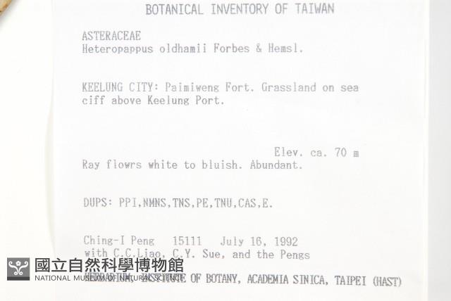 台北狗娃花藏品圖，第2張