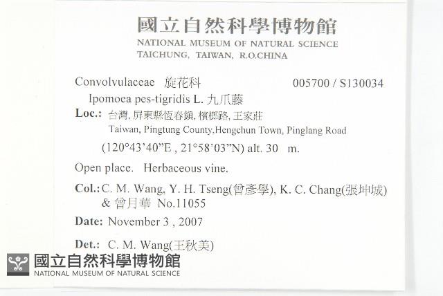 九爪藤藏品圖，第2張