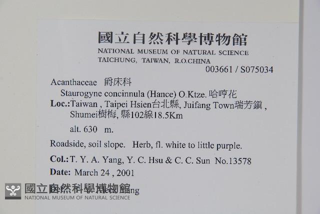 哈哼花藏品圖，第5張