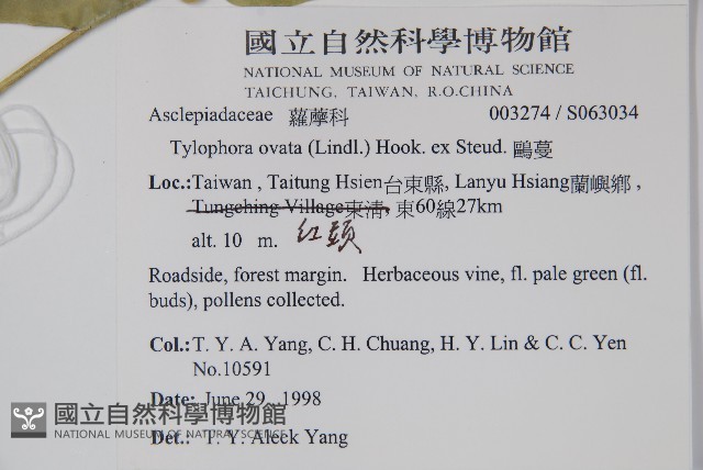 鷗蔓藏品圖，第2張