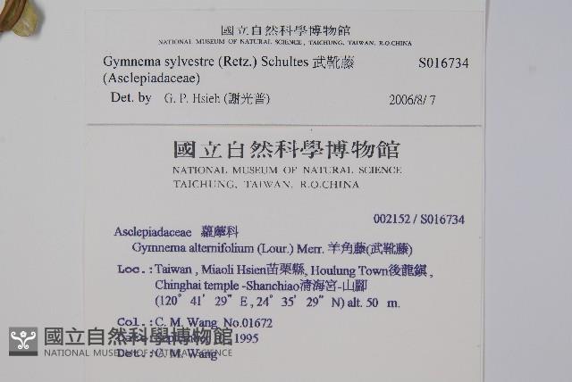 武靴藤藏品圖，第2張