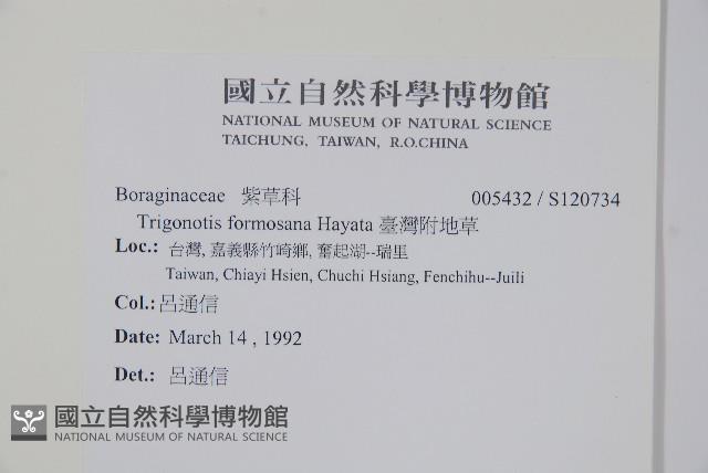 臺灣附地草藏品圖，第2張