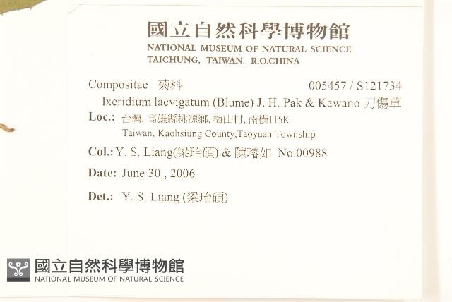 刀傷草藏品圖，第2張