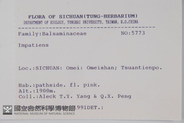 登錄號:S025734藏品圖，第2張