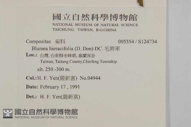 毛將軍藏品圖，第2張