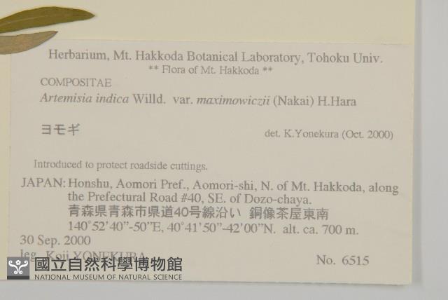 登錄號:S074734藏品圖，第2張