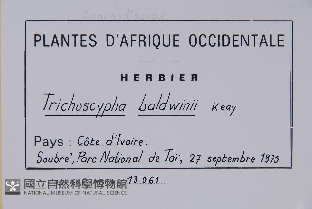 登錄號:S093734藏品圖，第2張