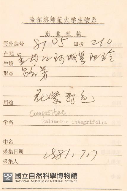 全葉馬蘭藏品圖，第2張