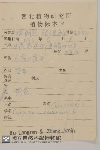 杓兒菜藏品圖，第2張