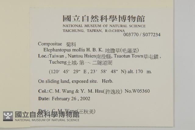 地膽草、毛蓮菜藏品圖，第2張