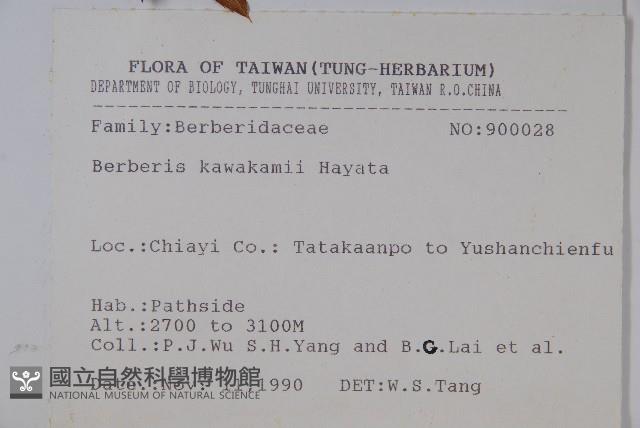 臺灣小蘗藏品圖，第2張