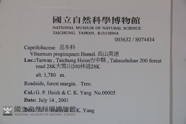 高山莢迷藏品圖，第2張