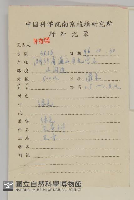 衛矛藏品圖，第2張