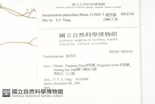 娥房藤藏品圖，第2張