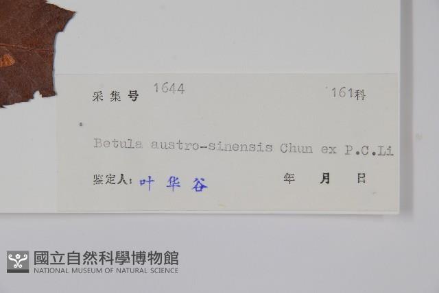 華南樺藏品圖，第2張