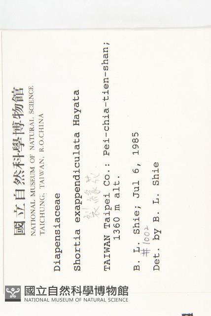 裂緣花藏品圖，第2張