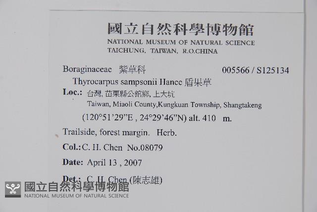 盾果草藏品圖，第2張