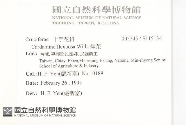 焊菜藏品圖，第2張