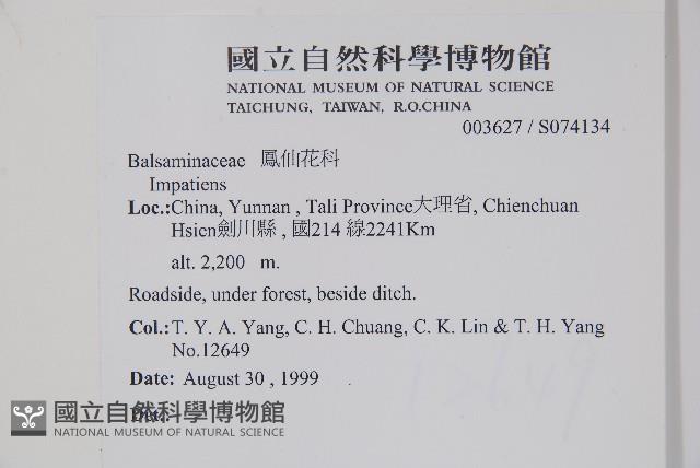 登錄號:S074134藏品圖，第2張